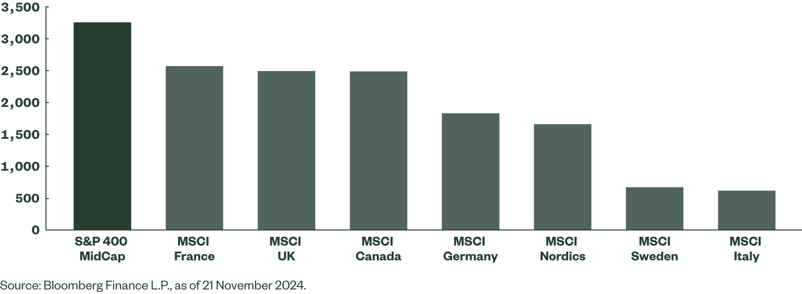 Charts shows the scale of the US mid cap sector compared with European countries' total equity markets