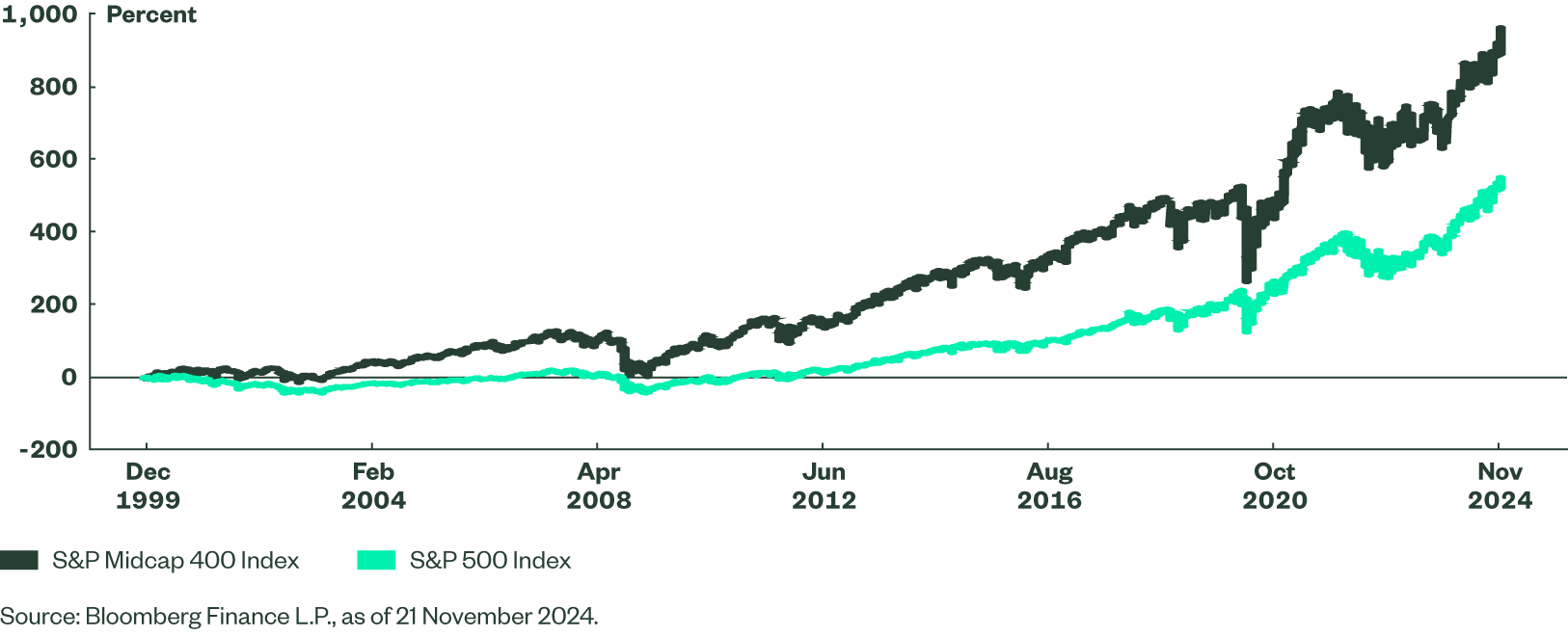 Sector performance between mid caps and large caps has markedly differed 