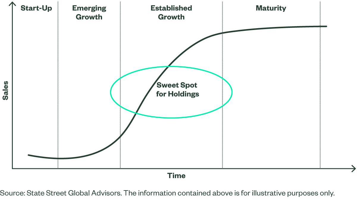 Case for US Fig 2